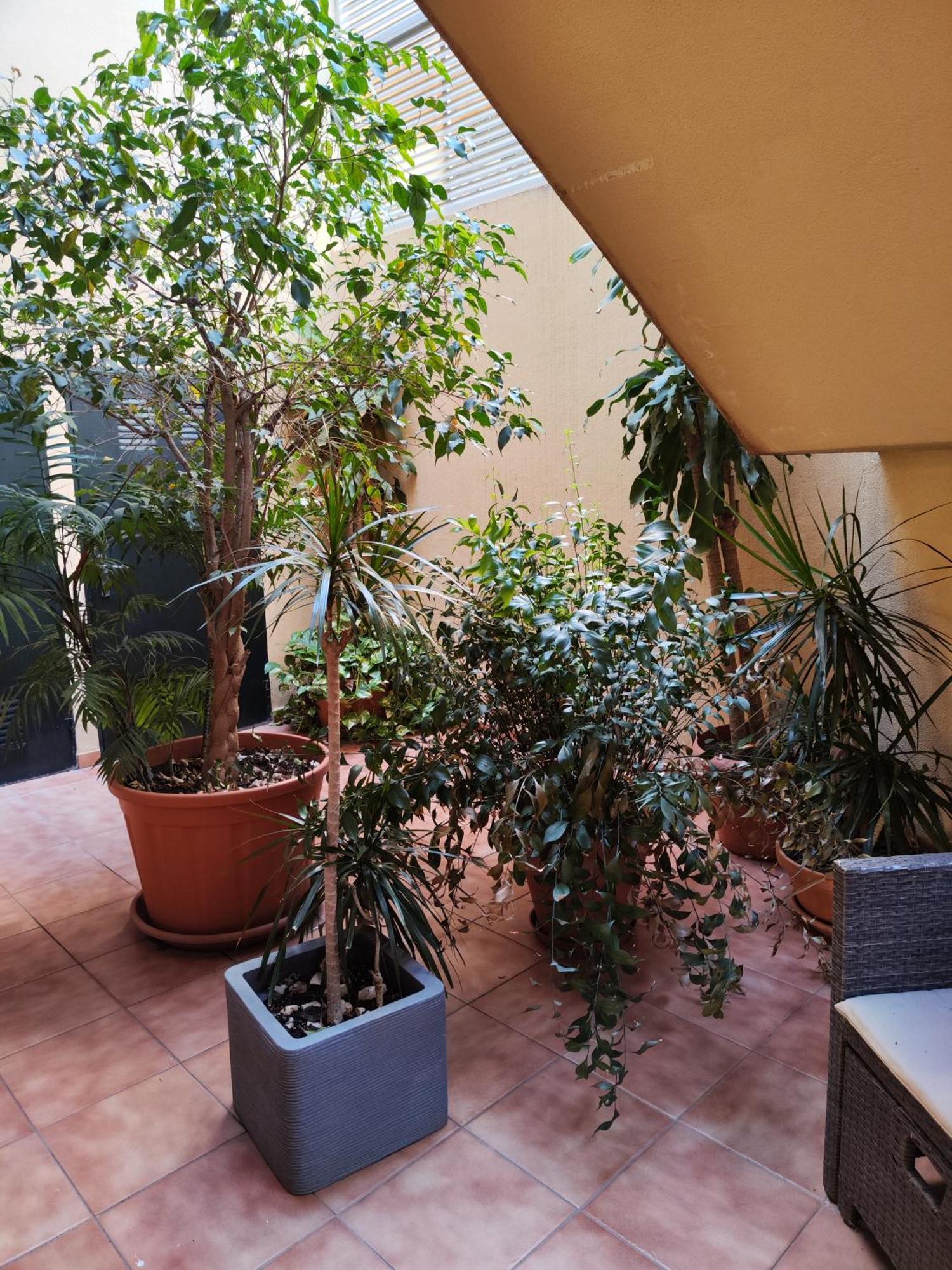 Apartmán Malaga Experience Exteriér fotografie