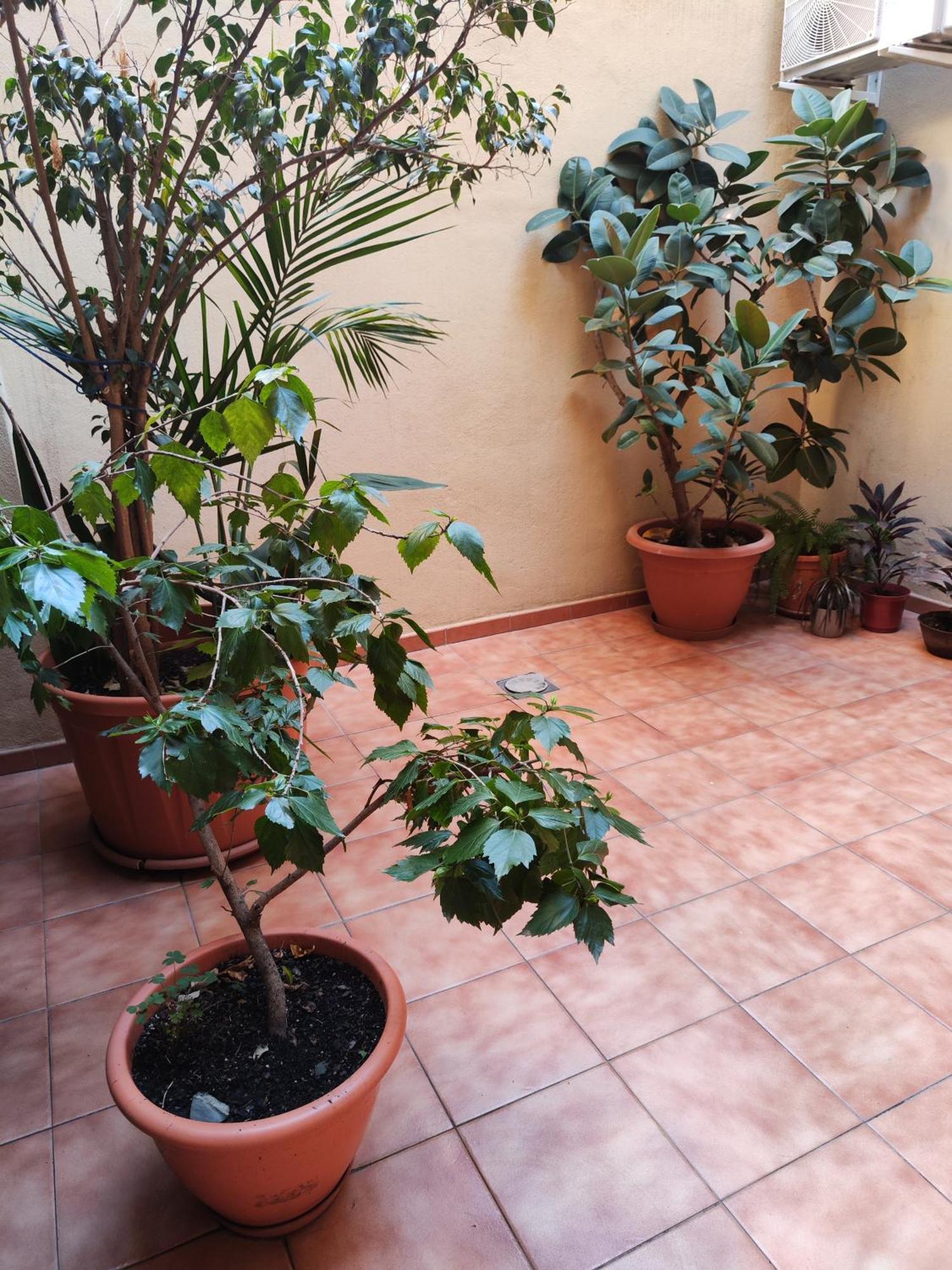 Apartmán Malaga Experience Exteriér fotografie